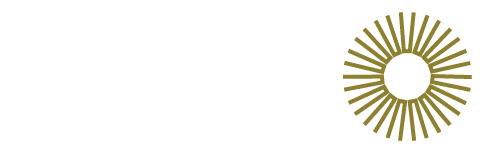 Stavridis Group logo
